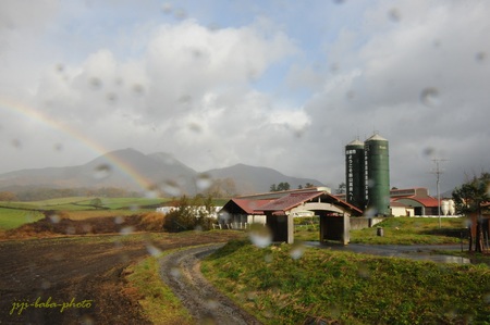 d0239891_17171.jpg