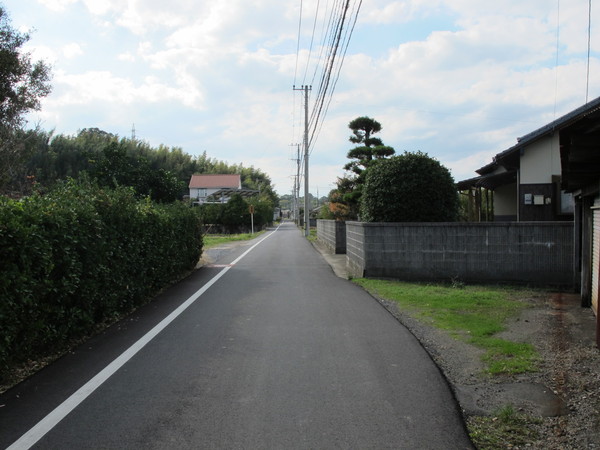 a0166196_1757251.jpg