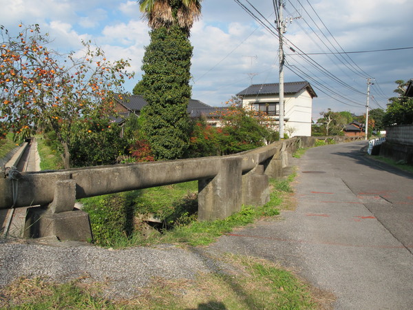 a0166196_1851611.jpg