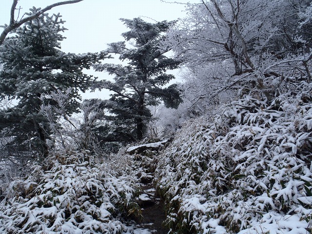 四国 三嶺~剣山縦走!_c0147398_1534306.jpg