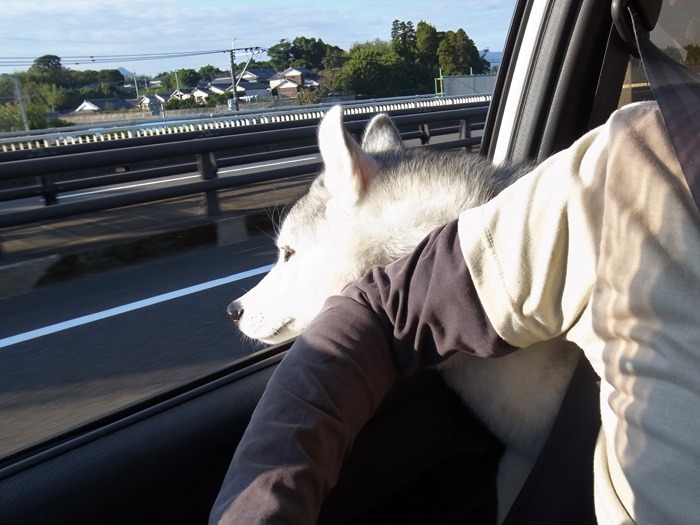 c0049299_20141630.jpg
