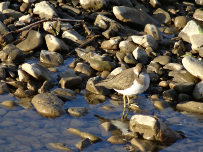 c0125501_21324540.jpg