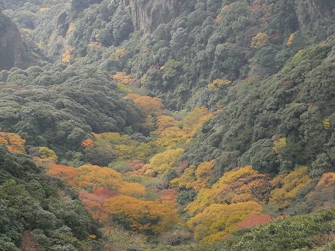 f0187402_22323381.jpg