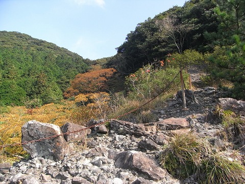 f0187402_2232953.jpg