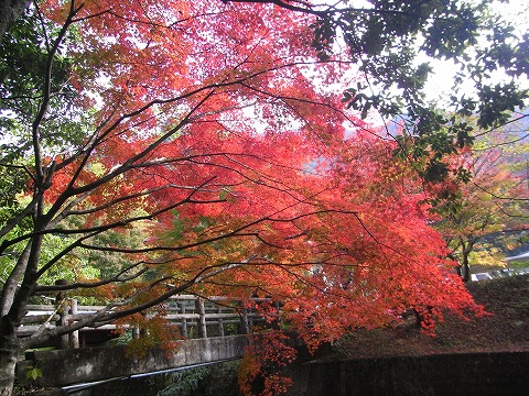 f0187402_2233113.jpg