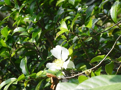 f0187402_2233530.jpg