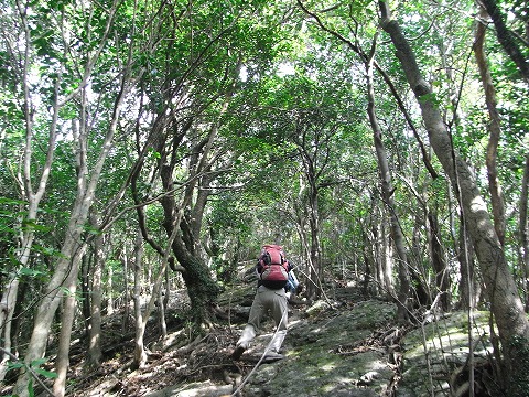 f0187402_22351689.jpg