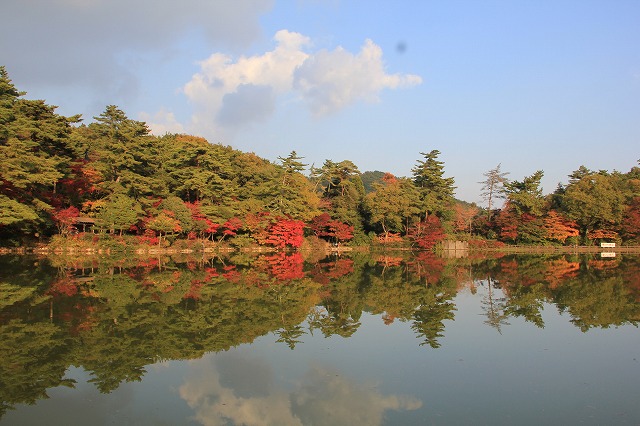 a0123003_2155960.jpg