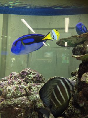 沖縄~!_a0144804_1021693.jpg