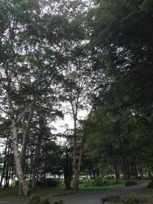 b0195304_13232246.jpg