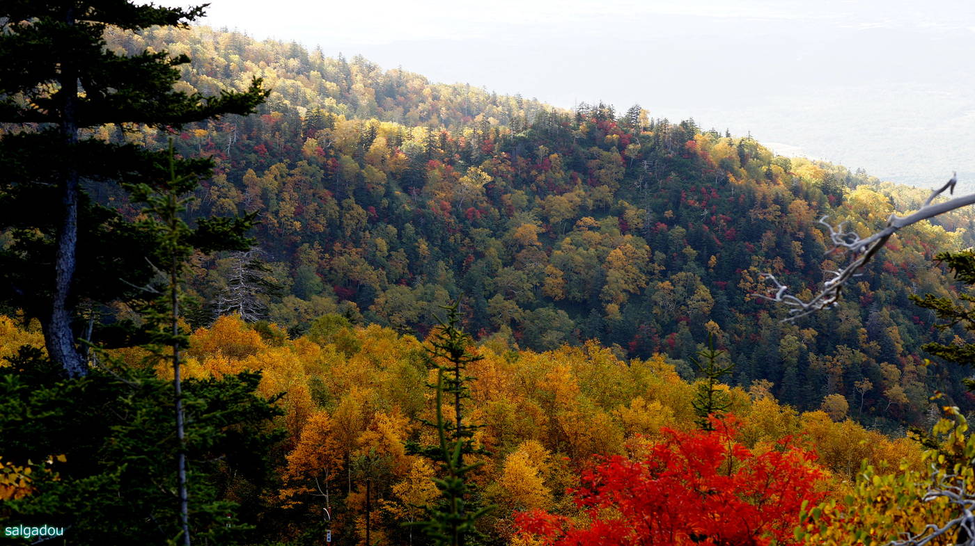 紅葉求めて北海道 20_f0203707_6401282.jpg