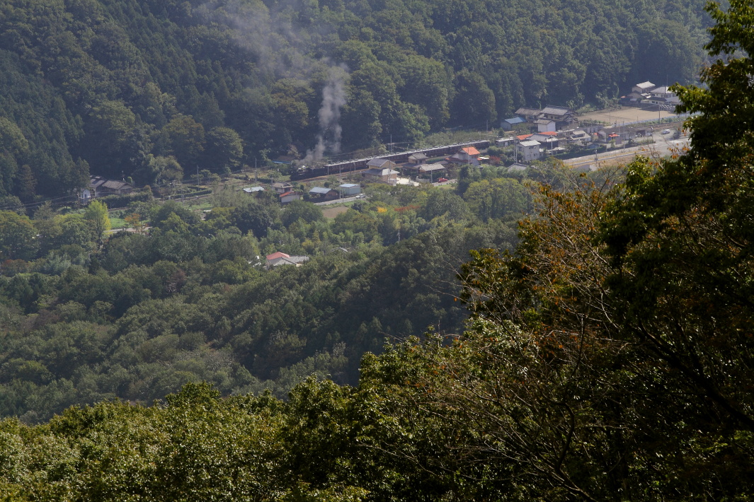 b0190710_20373451.jpg