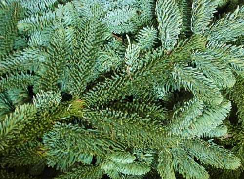b0241310_20591194.jpg