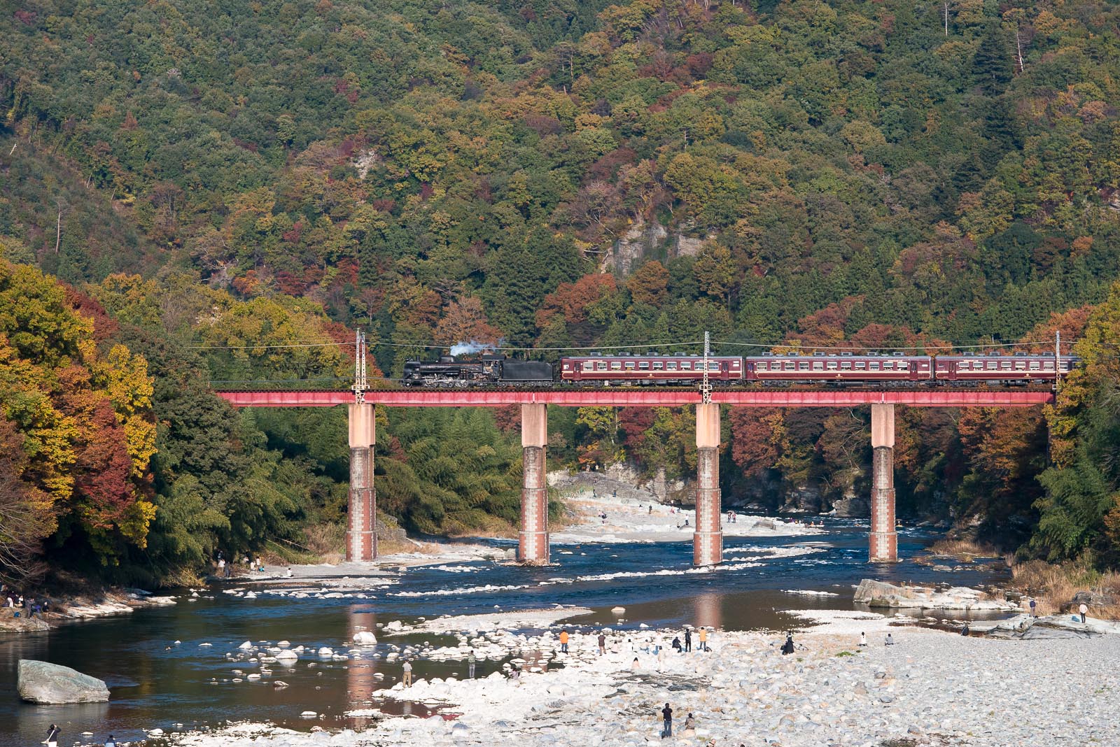 秩父鉄道に行って来ました_f0229311_20532824.jpg