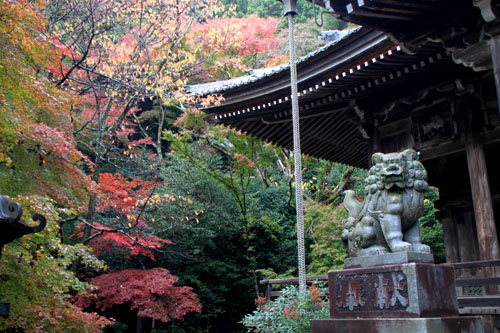 小塩山 金蔵寺　13紅葉たより13_e0048413_18135892.jpg