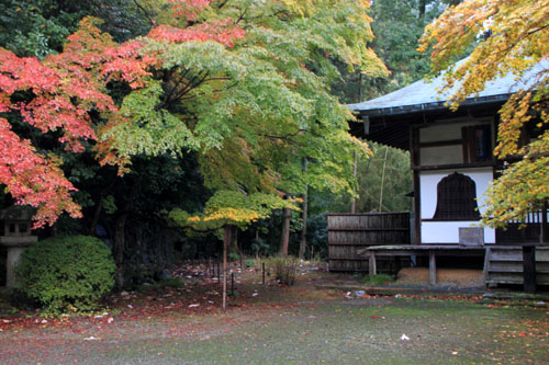 小塩山 金蔵寺　13紅葉たより13_e0048413_18142181.jpg