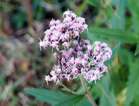 e0293913_2256266.jpg