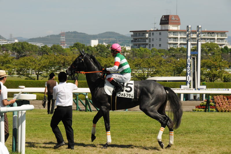 明日は　京都と東京で勝ち負けかも！！_f0053218_228869.jpg