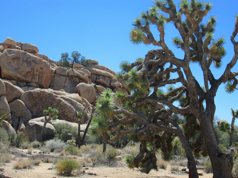 f0308721_15284244.jpg