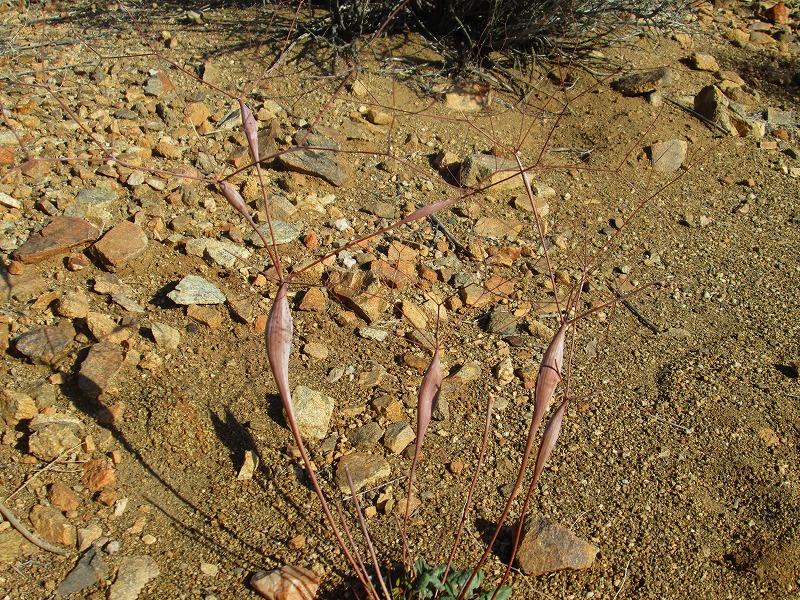 f0308721_1535463.jpg