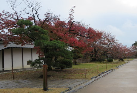 c0280322_23432264.jpg