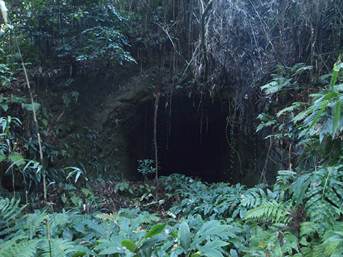 e0234922_2024593.jpg