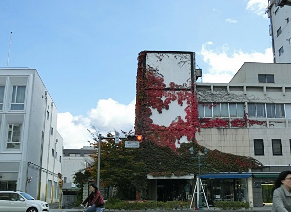 e0234924_1112362.jpg
