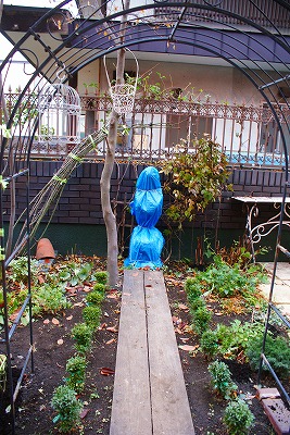 f0170524_1855416.jpg