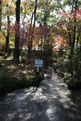 玉の湯#3由布院_b0199526_15482015.jpg