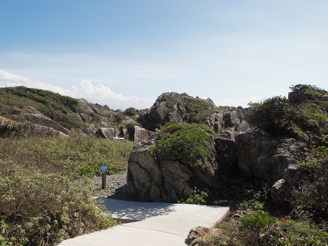 e0303726_21261585.jpg