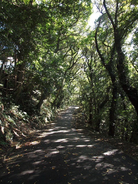 e0303726_22101423.jpg
