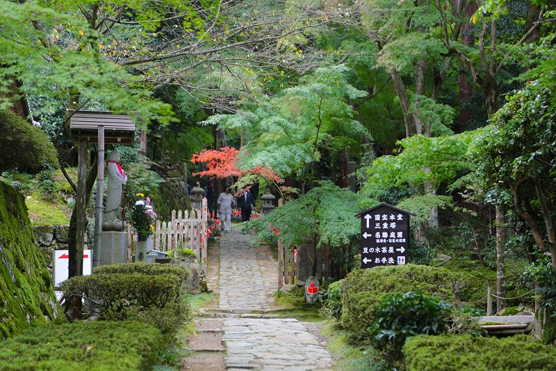 京都・滋賀巡り二日目（４）湖東三山　金剛輪寺｛１｝_f0229832_9147100.jpg