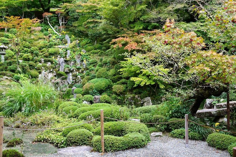 京都・滋賀巡り二日目（４）湖東三山　金剛輪寺｛１｝_f0229832_9244530.jpg