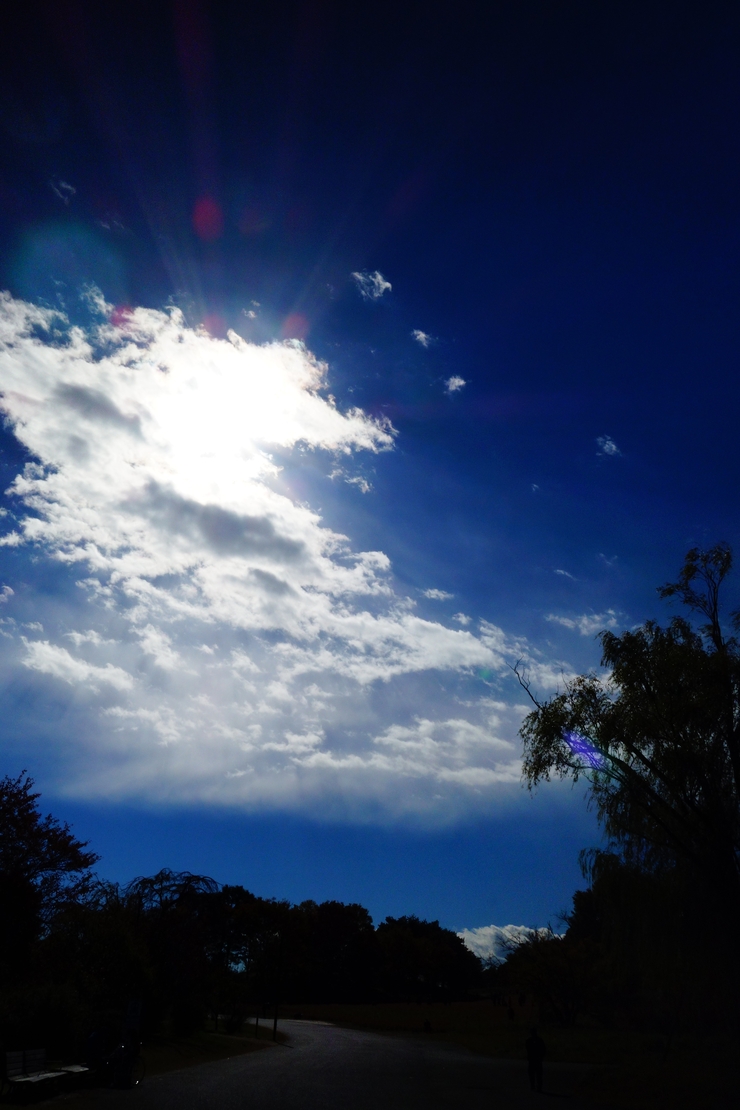a0287336_20495859.jpg