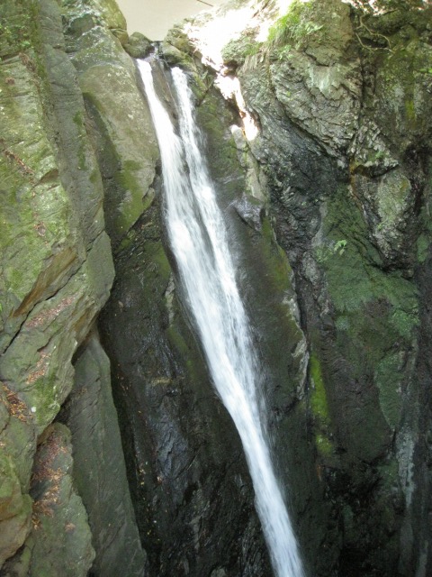 c0090236_1243574.jpg