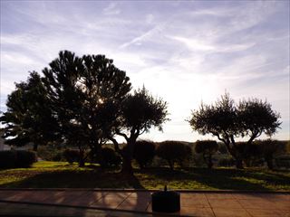 e0120938_2351212.jpg