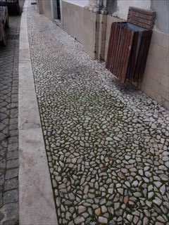 e0120938_2525892.jpg