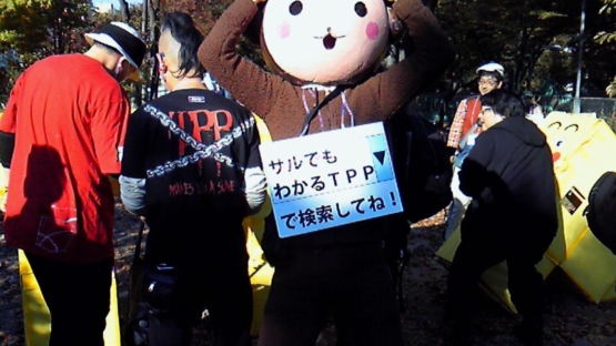 11/16 反TPP・反秘密保護法訴え 渋谷~表参道~原宿でデモ_c0024539_19182135.jpg