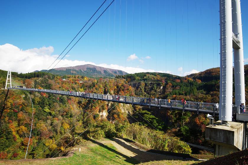夢大吊り橋と阿蘇山 川の鳥見日記２