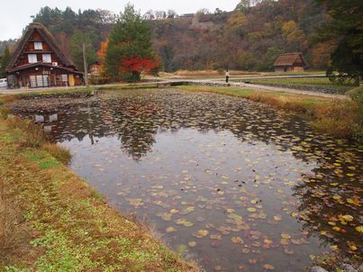 「世界遺産・白川郷」へぶら～り・和田家編_d0079440_2154436.jpg