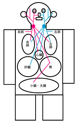 「自律神経のバランスを整える」って、具体的にどういうこと？（その3）～ある日の施術より～_e0073240_4333779.gif