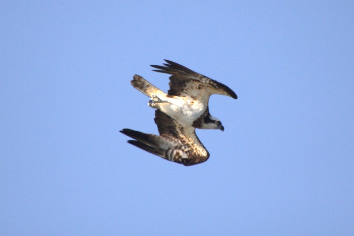c0269342_16384277.jpg