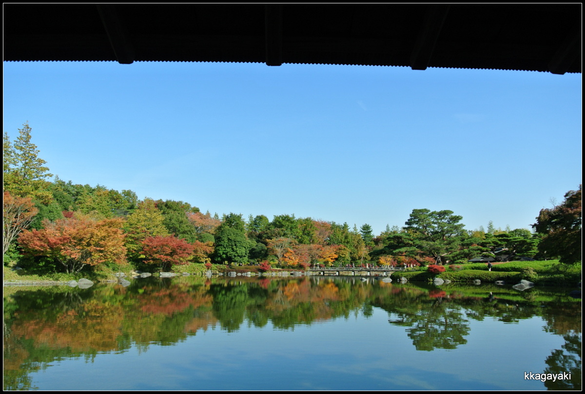 昭和記念公園　2013.11.14　by　ニコン１J1_e0206242_2328568.jpg