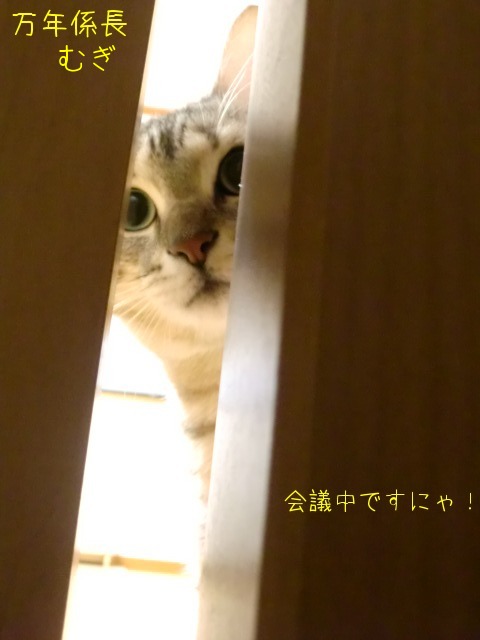 c0259945_12204480.jpg