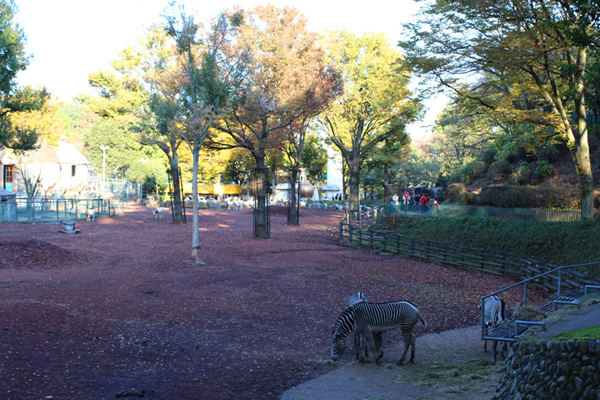 a0307547_21412984.jpg