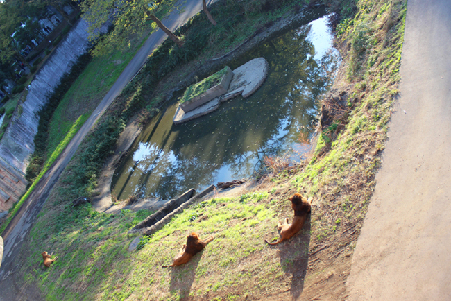 a0307547_21421844.jpg