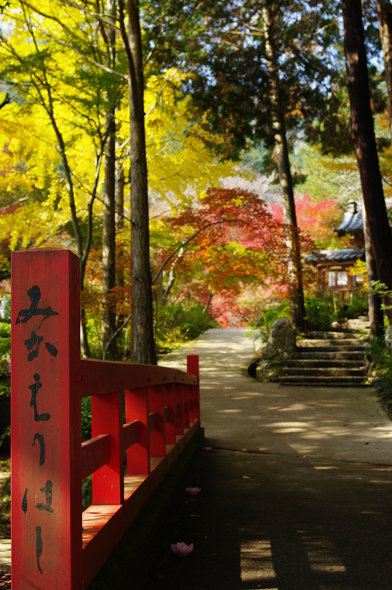 京都の紅葉 2013　〜神蔵寺〜_f0152550_23223164.jpg