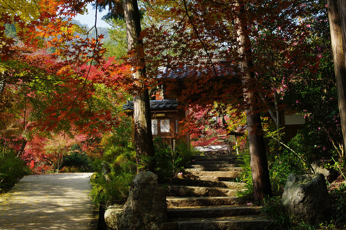 京都の紅葉 2013　〜神蔵寺〜_f0152550_23224230.jpg