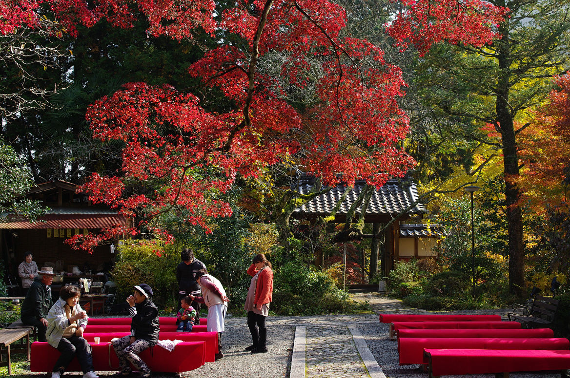 京都の紅葉 2013　〜神蔵寺〜_f0152550_23225324.jpg