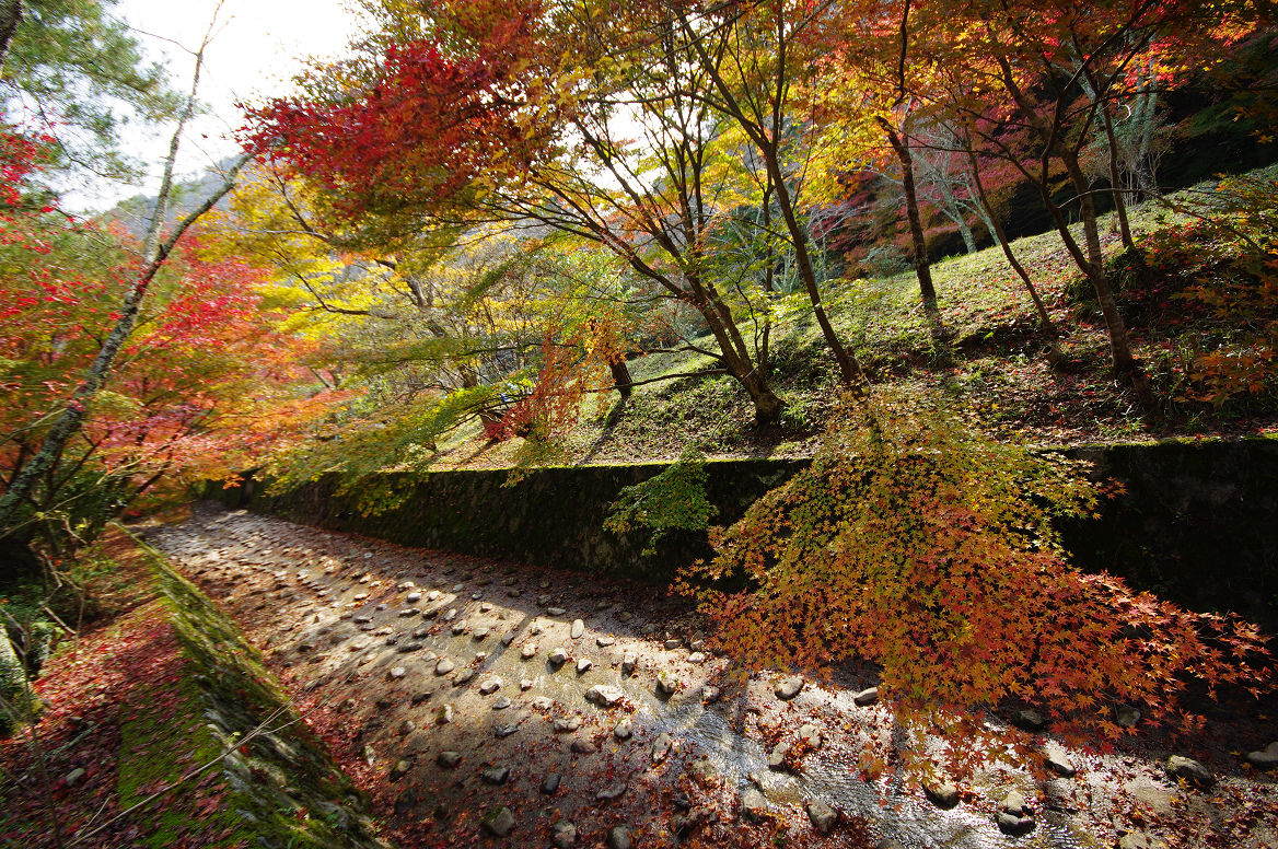 京都の紅葉 2013　〜神蔵寺〜_f0152550_23261982.jpg